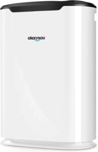 Okaysou AirMax8L HEPA filter for large rooms