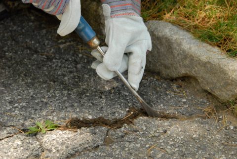 DIY Asphalt Driveway Repair, Sealing & Cleaning | HomeTips