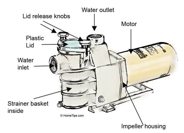 Swimming Pool Pump Buying Guide | HomeTips