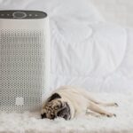 Pug dog lying next to an air purifier in a bright white bedroom.