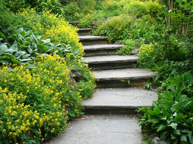Garden steps