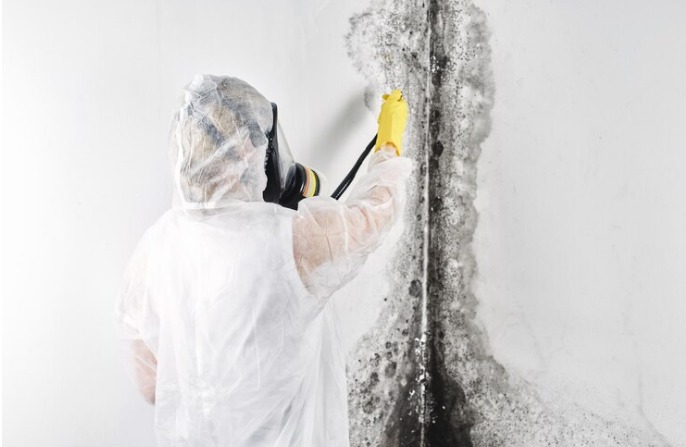 mold removal specialist in PPE, spraying mold