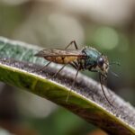 How to Get Rid of Gnats in Plants