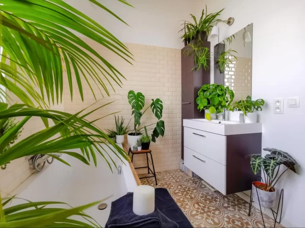 Indoor plants in a bathroom