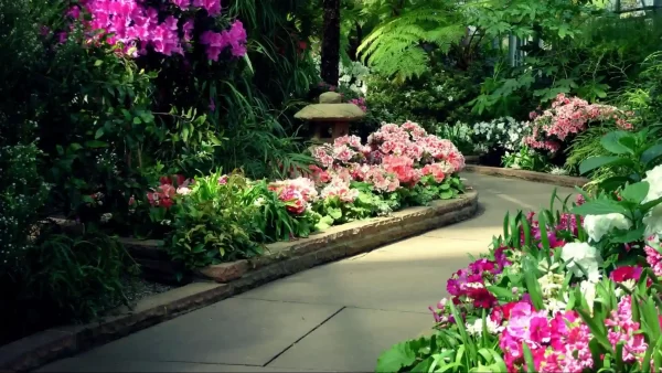 A meandering pathway adds intrigue and invites exploration through a beautifully landscaped garden.