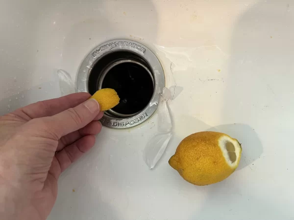 drop a slice of lemon peel into garbage disposal