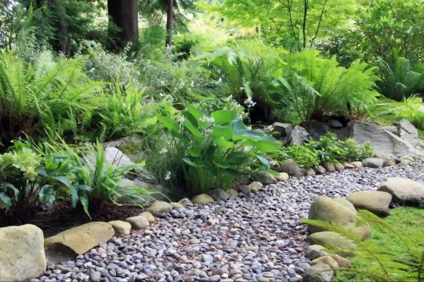 A tranquil pathway evokes the natural beauty of a riverbed with its combination of smooth pebbles and large natural stones.