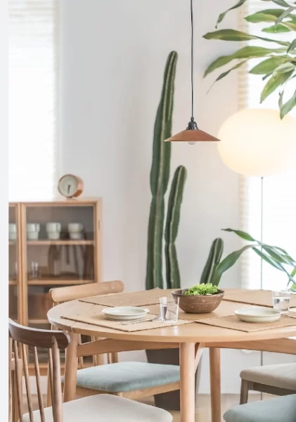 Minimalist pendant light in dining area