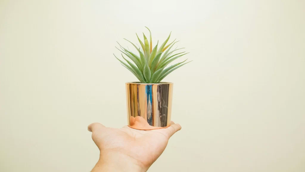 The Best Artificial Plants for Stylish Home Décor