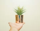 The Best Artificial Plants for Stylish Home Décor